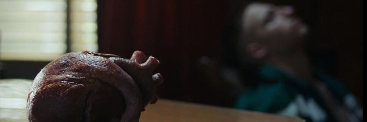 camilumarc's profile banner image