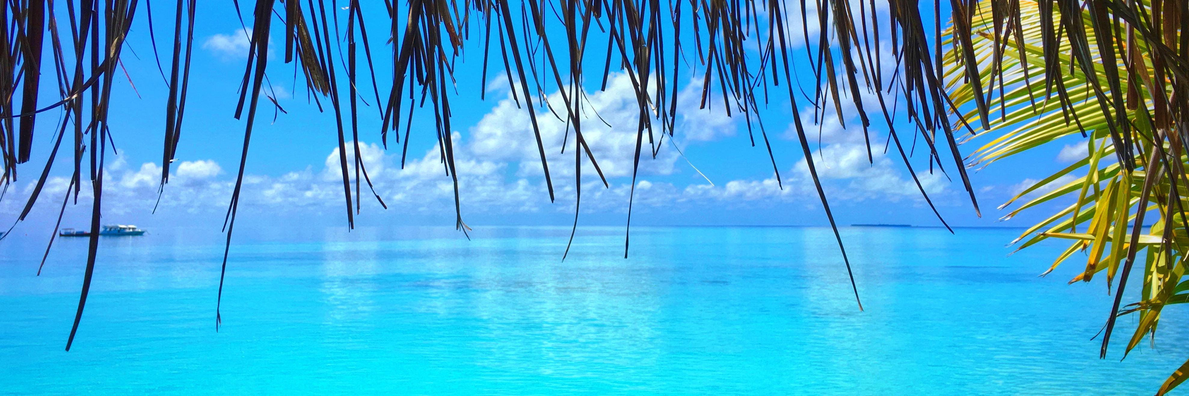 wellnessestelle's profile banner image