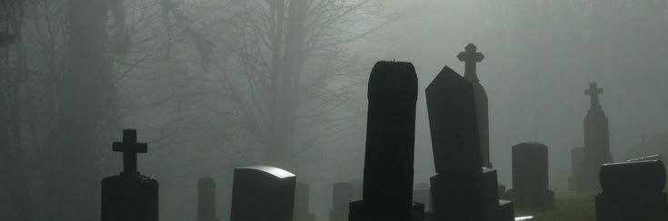 baaabyyvee's profile banner image