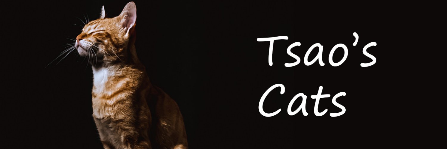 denistsao's profile banner image
