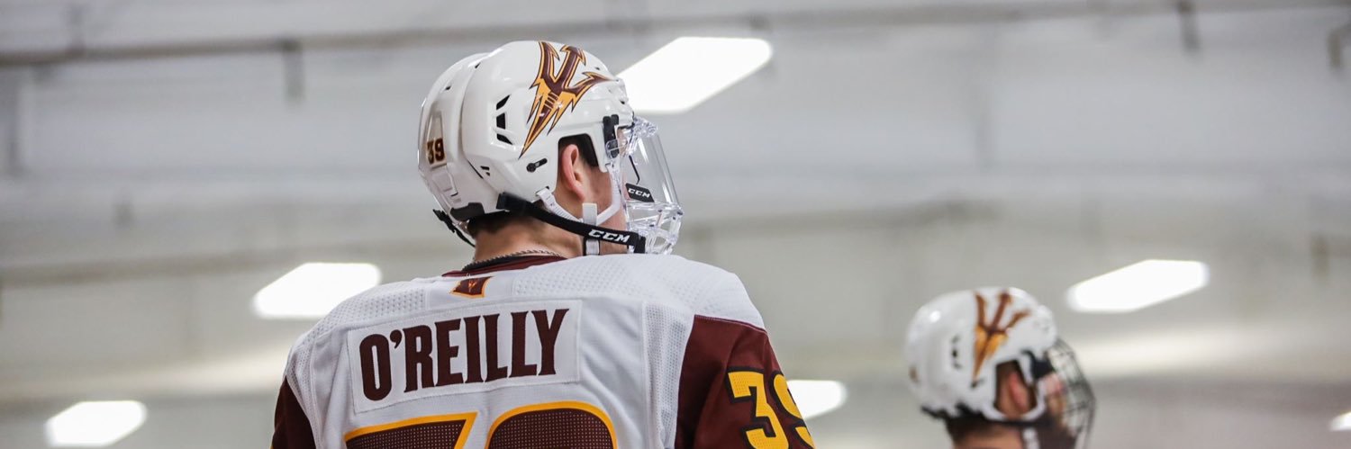 Ryan O'Reilly banner