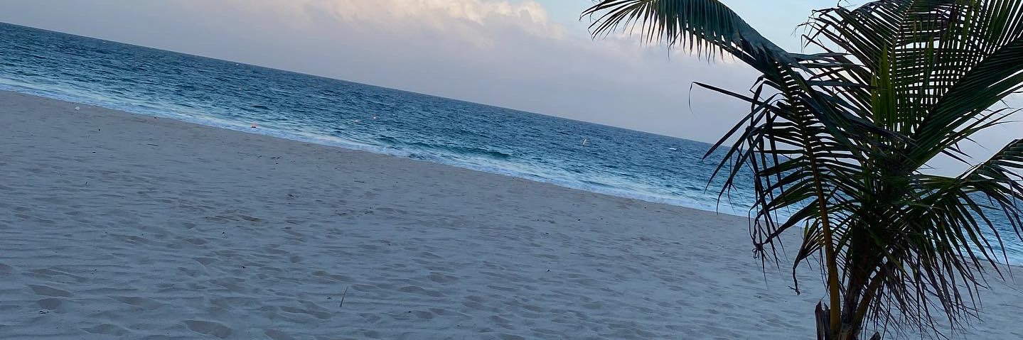 jackie_sully's profile banner image