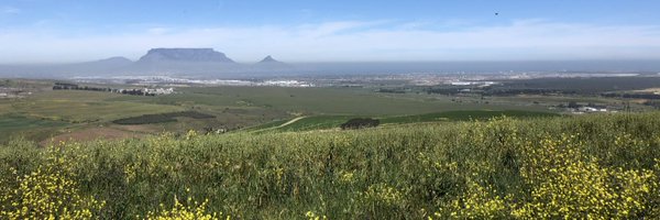 SeanTick Profile Banner