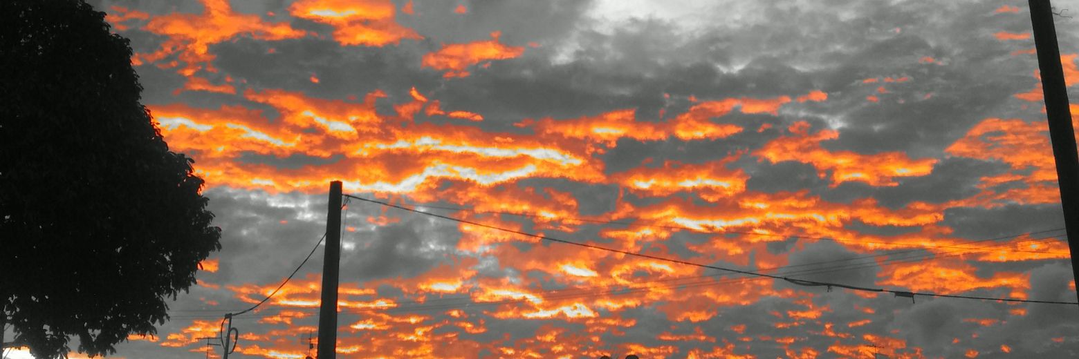 LilL1pe's profile banner image