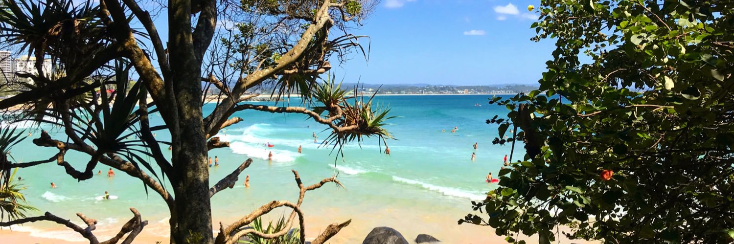 Harriet Potter banner