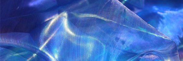 Amy banner