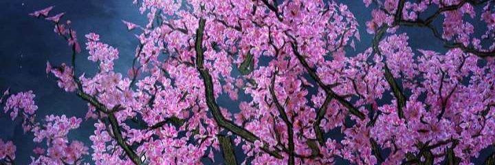 anan ☽̶☾ banner