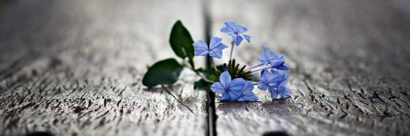 MarieeMrtn's profile banner image