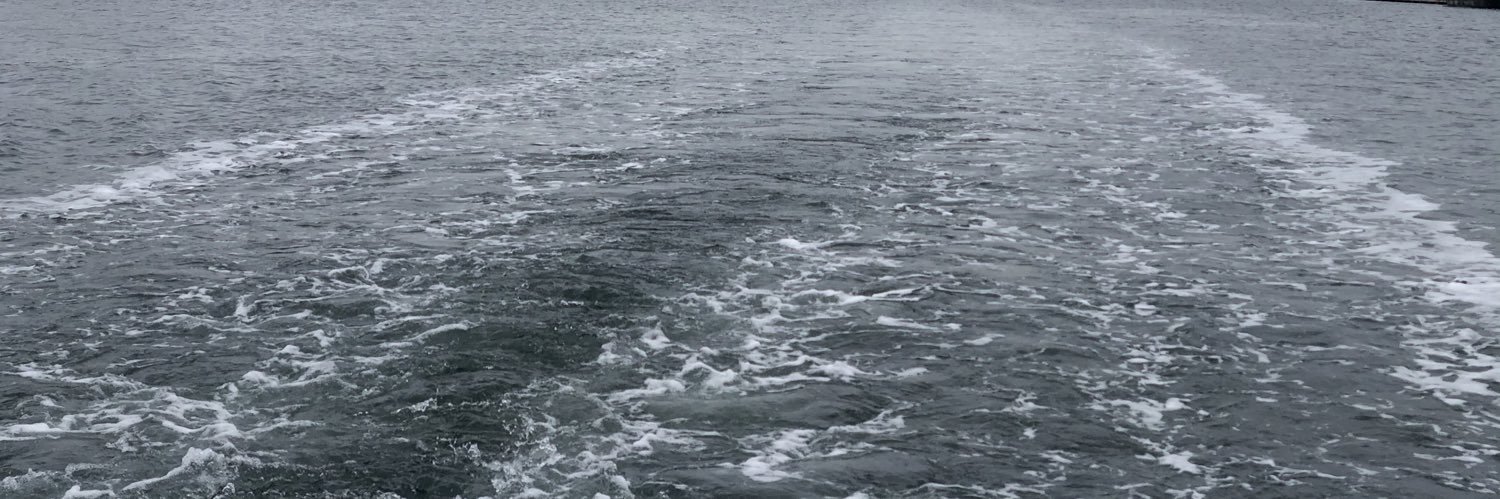 rok3adi's profile banner image
