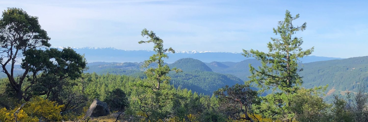 Michelle Davis banner