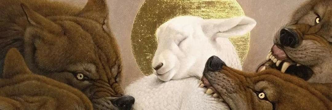 txcecko's profile banner image