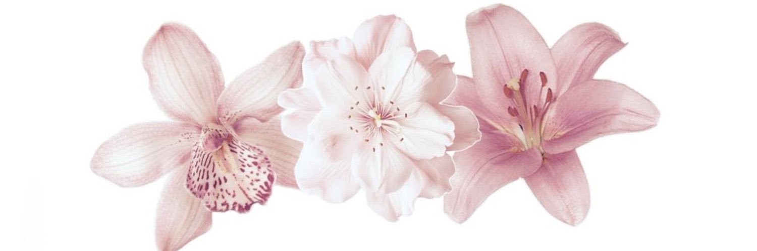 missluscio's profile banner image