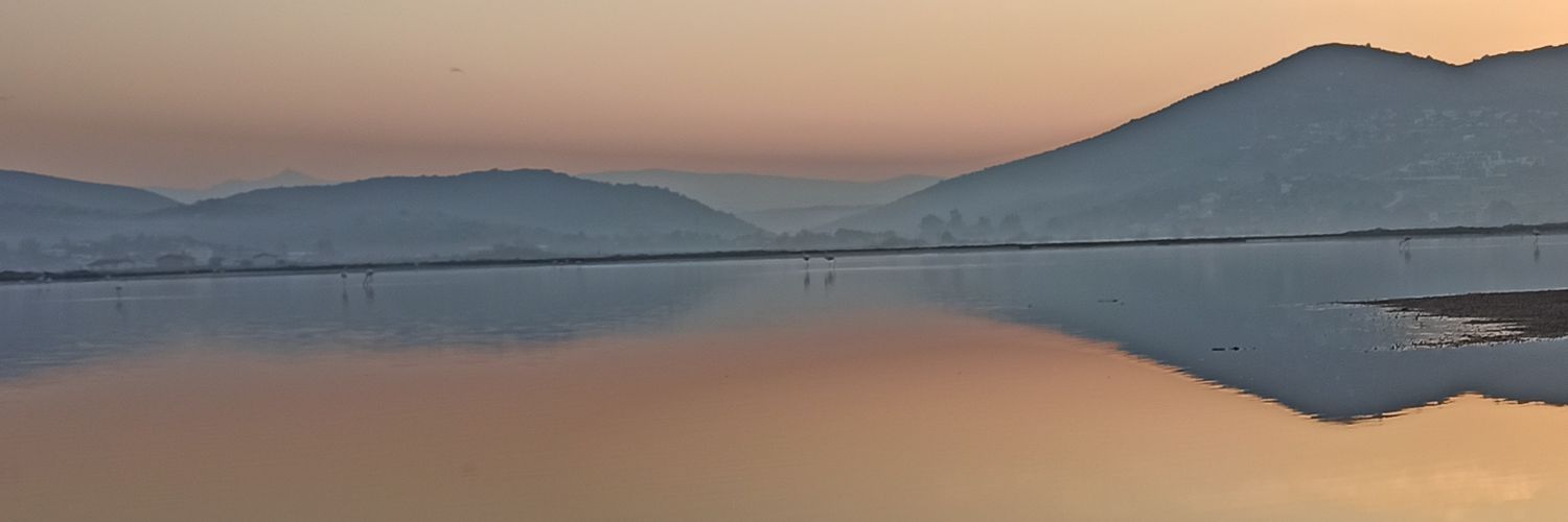 Herbiephonic's profile banner image
