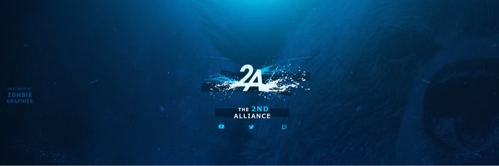 The2ndAlliance's profile banner image