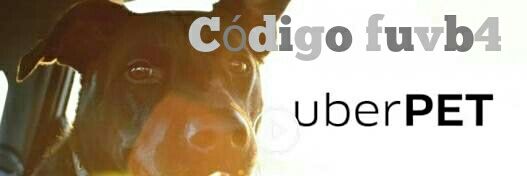 UberPetGratis's profile banner image