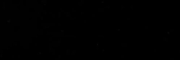 briannguyenm Profile Banner