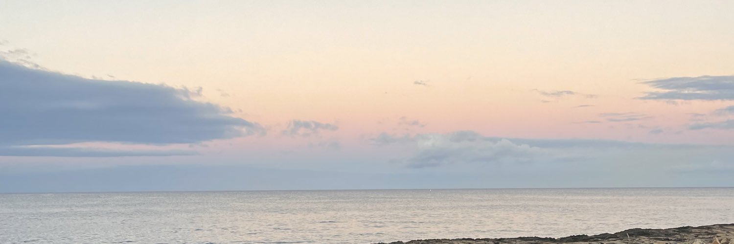 SKSMillennial's profile banner image