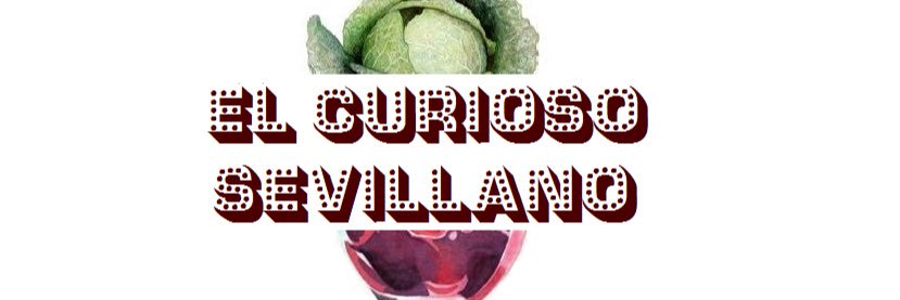 curiososevi's profile banner image