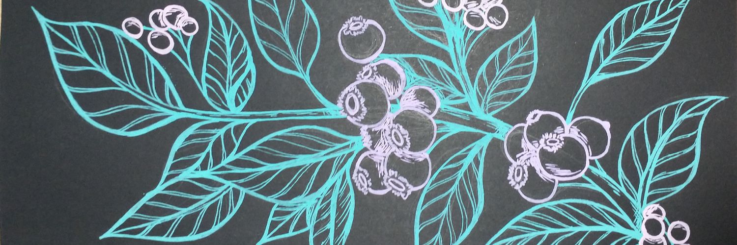 LulaLarra's profile banner image