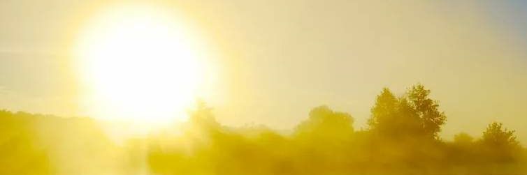 Александръ Коптеевъ banner