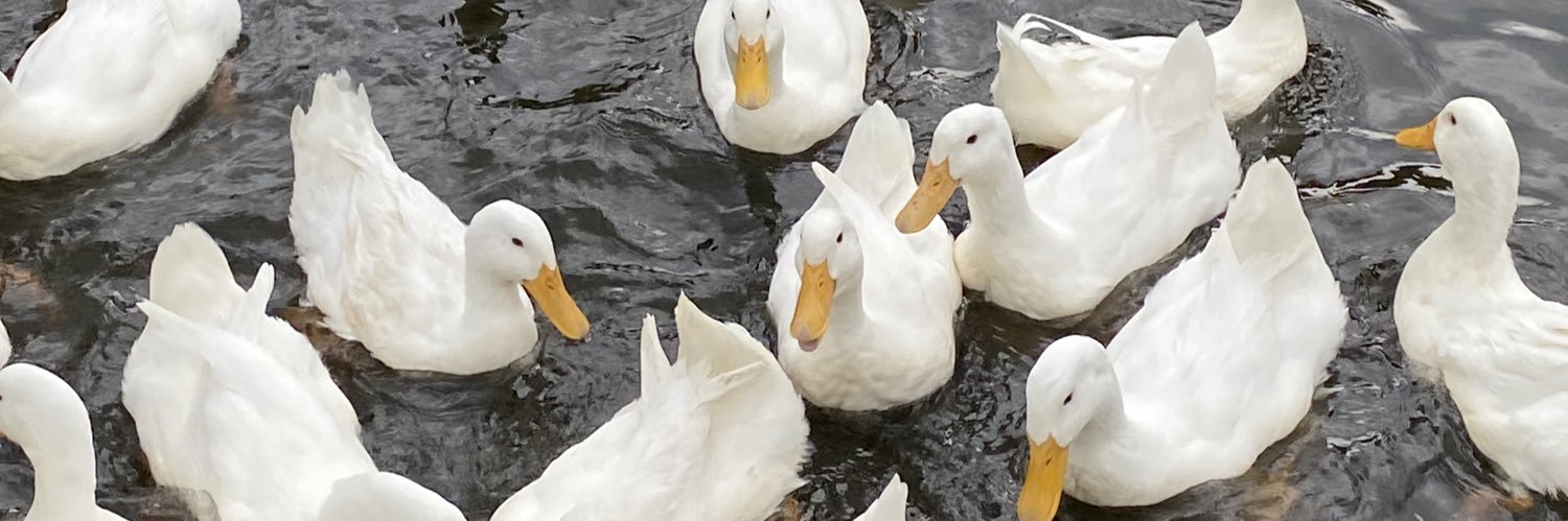 fadillahNJ's profile banner image