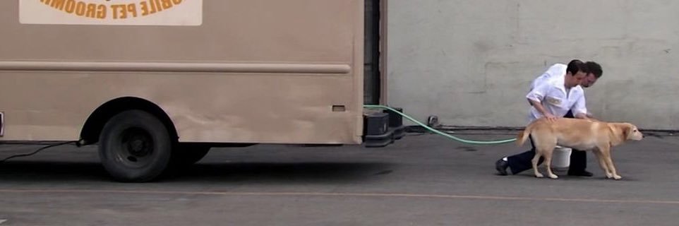 Alexandrrrre banner