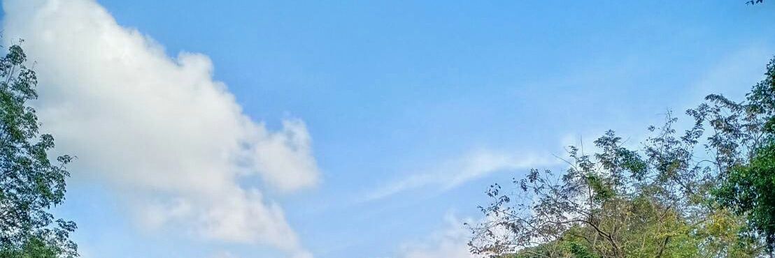 fanah.wm💗 banner