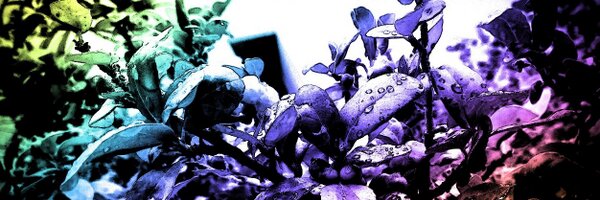 RaizaAzul Profile Banner