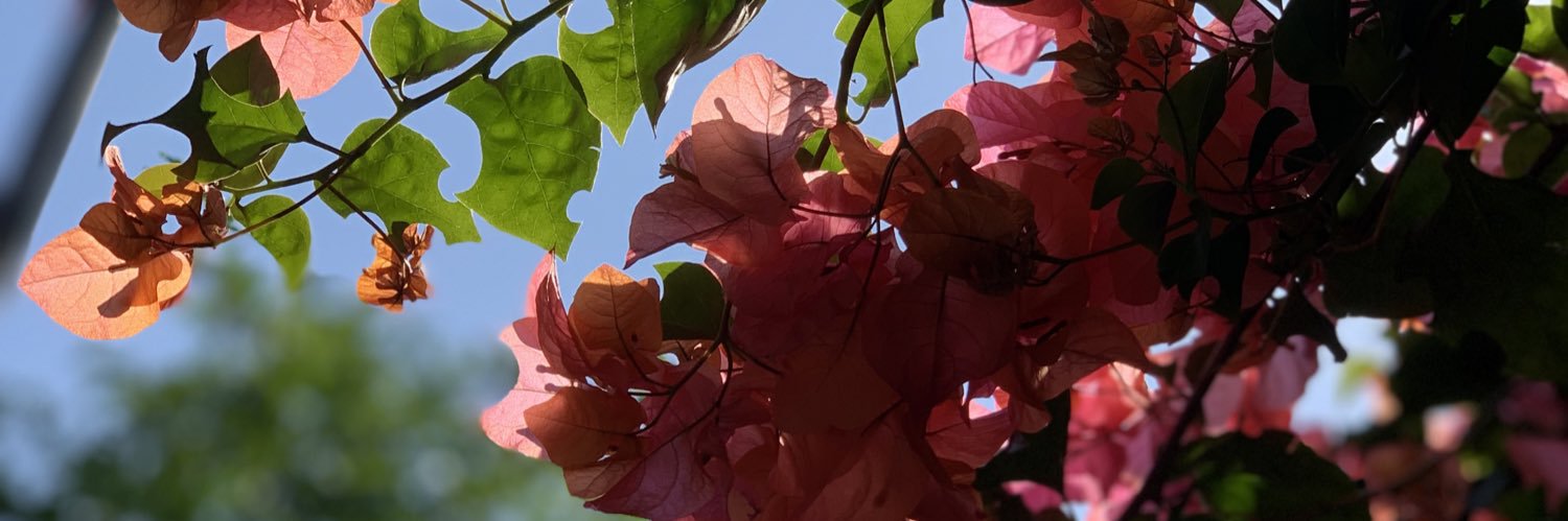 Petegokil's profile banner image