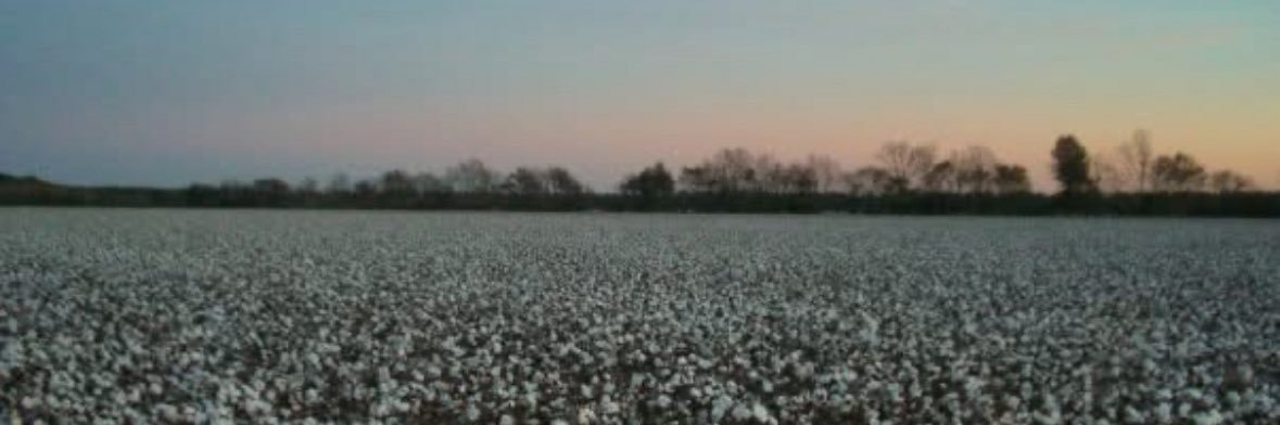 Bayou_Mac's profile banner image