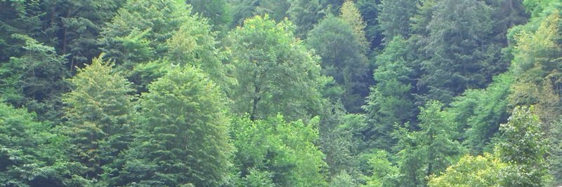 sellamii1's profile banner image