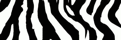 merriemitzh's profile banner image