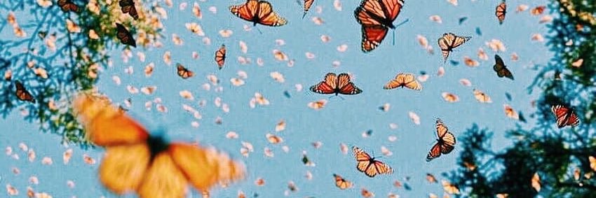ag22291's profile banner image