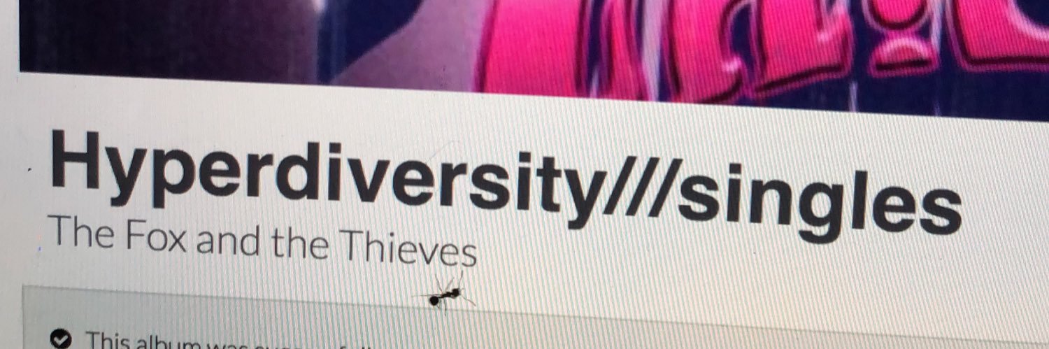 The Fox & The Thieves banner