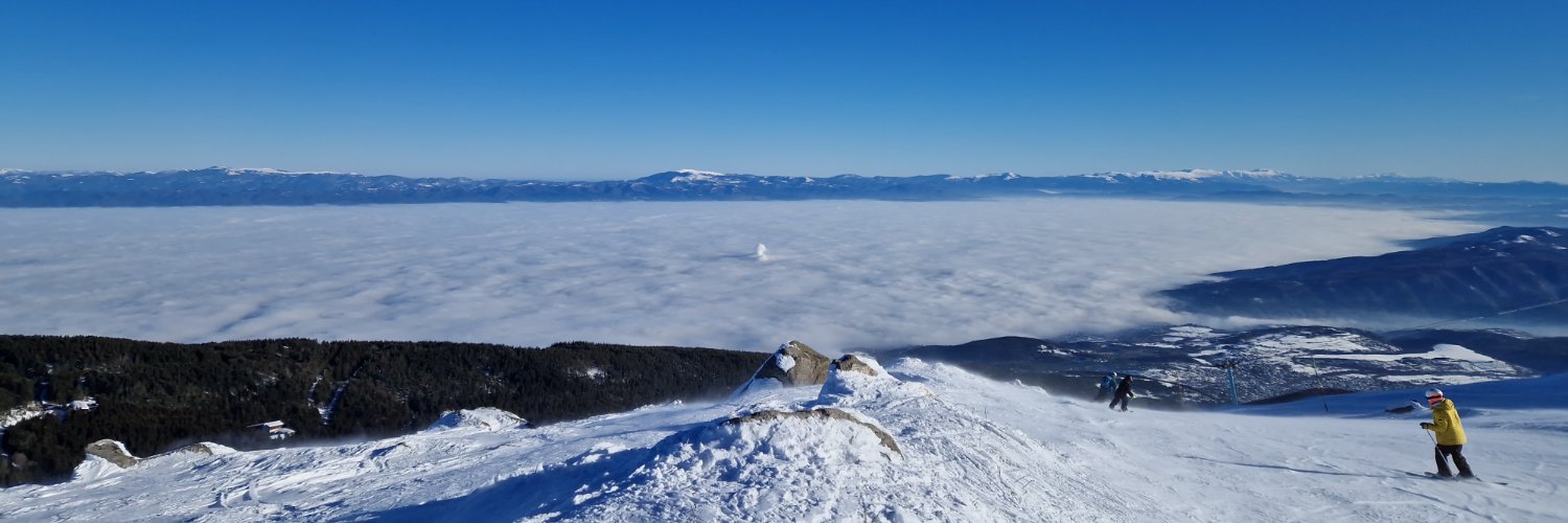 Maya F Koleva banner