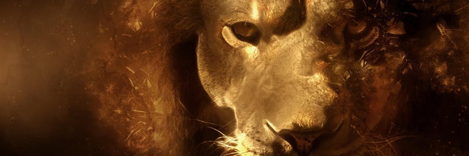 zanesloane's profile banner image