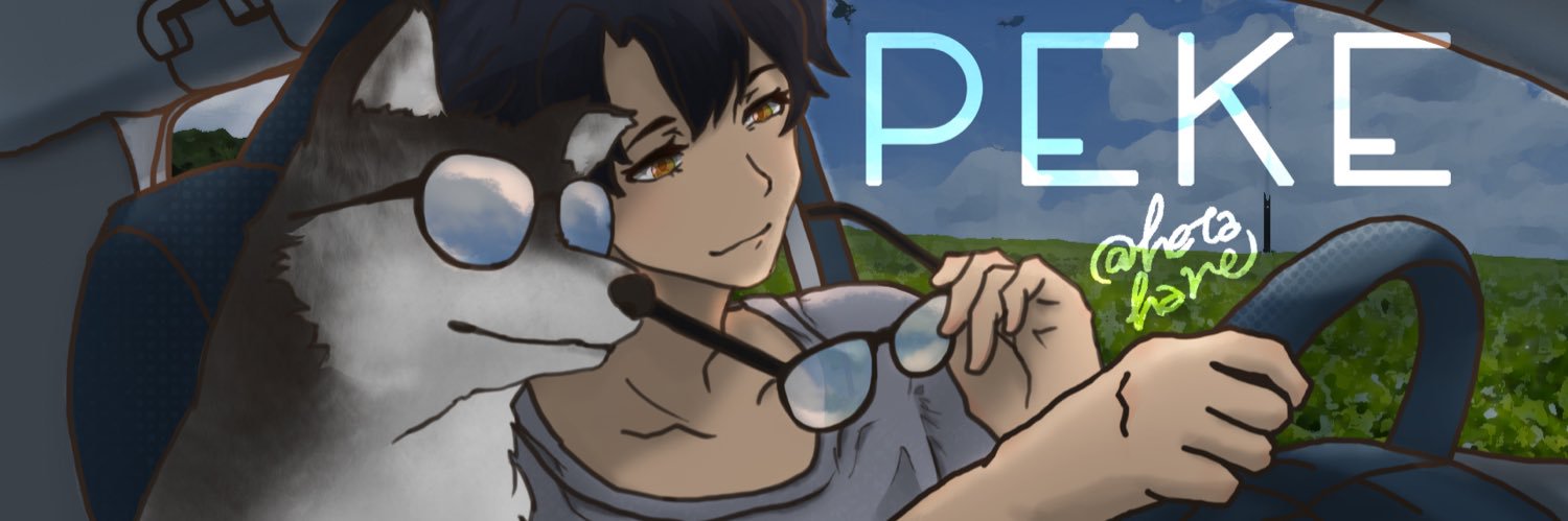 pekellyx's profile banner image