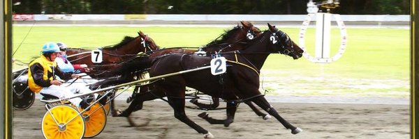 CollieHarness Profile Banner