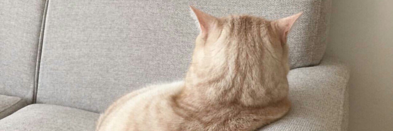 _yanurser's profile banner image