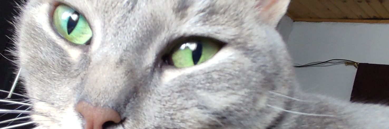 fernando861125's profile banner image
