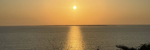 halu3 Profile Banner