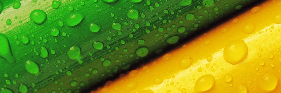 james anderson banner