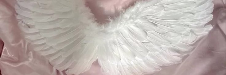 chaermmykitty's profile banner image