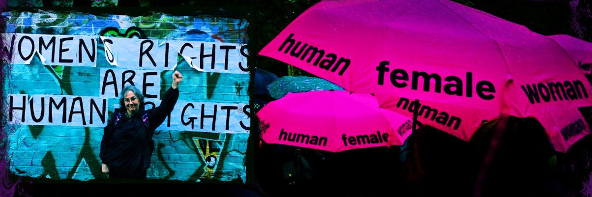 Maria MacLachlan (XX) 🇬🇧🇬🇷💚🤍💜🦕🎗️'s banner