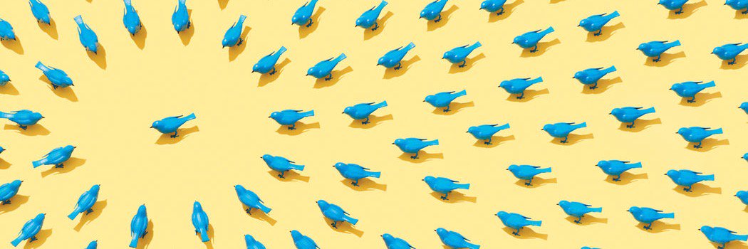 Anthony Proctor-Williams banner