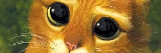 marcosjac07's profile banner image