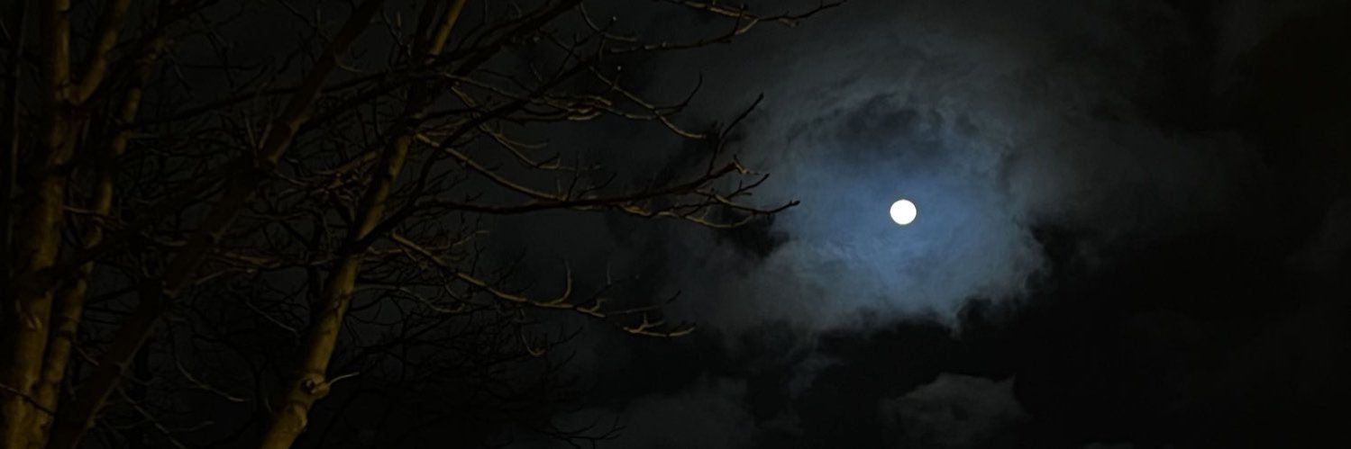ReMutlaq's profile banner image