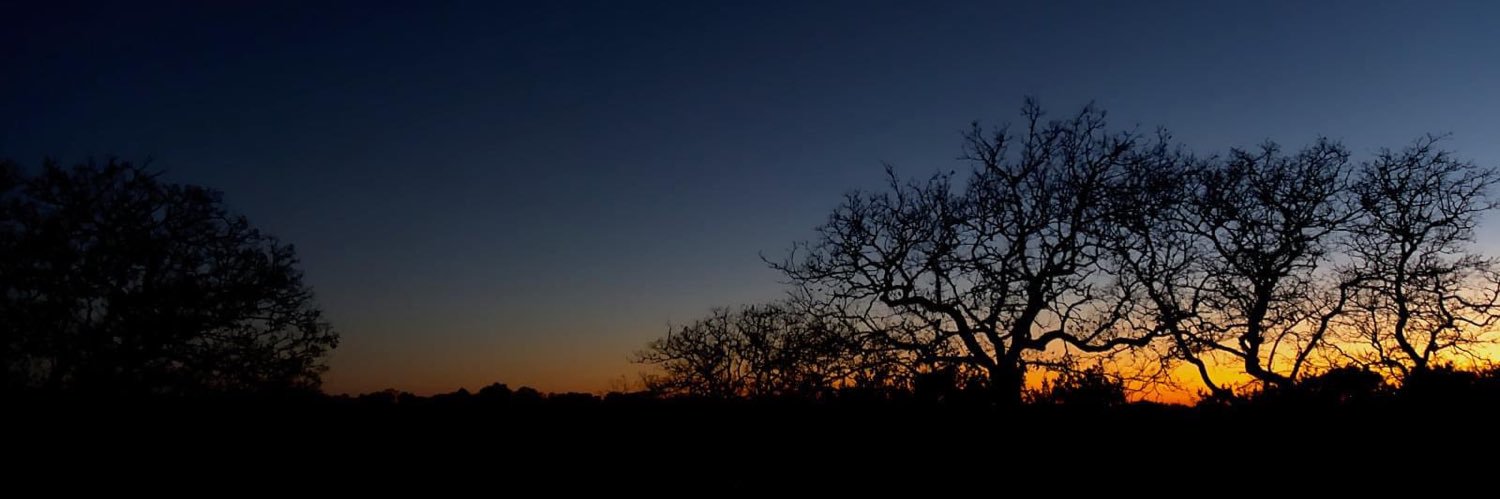 g_abbott's profile banner image