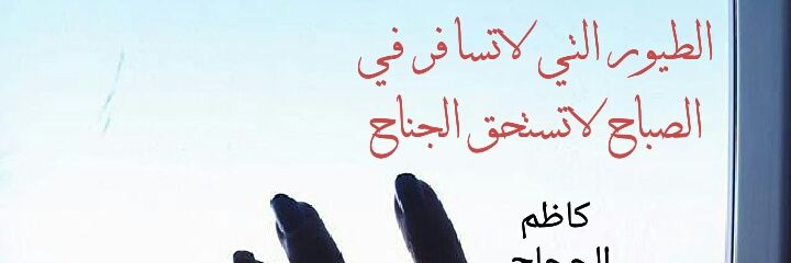 thmhm's profile banner image