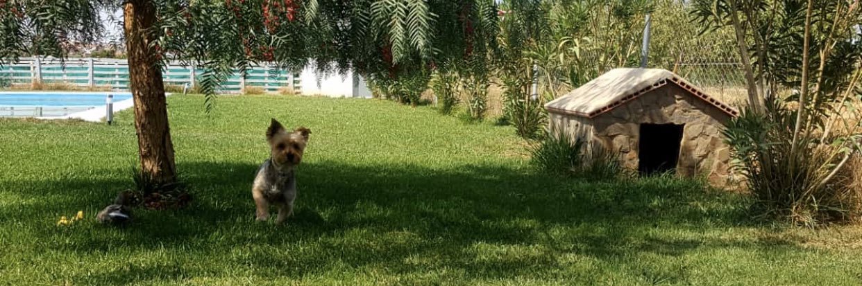 RocioSanchez75's profile banner image
